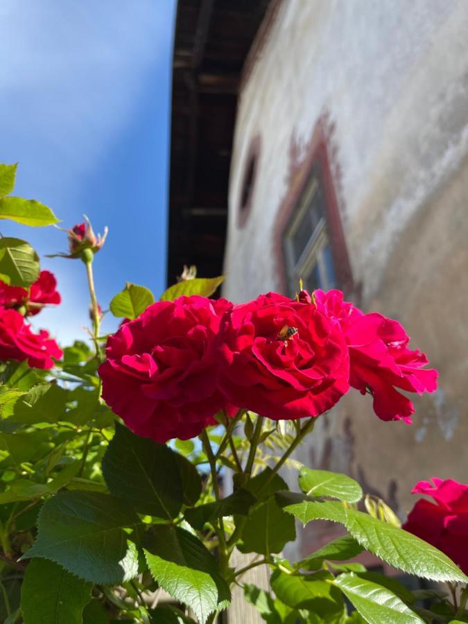 Ansitz Thalerhof Daire Lana Dış mekan fotoğraf
